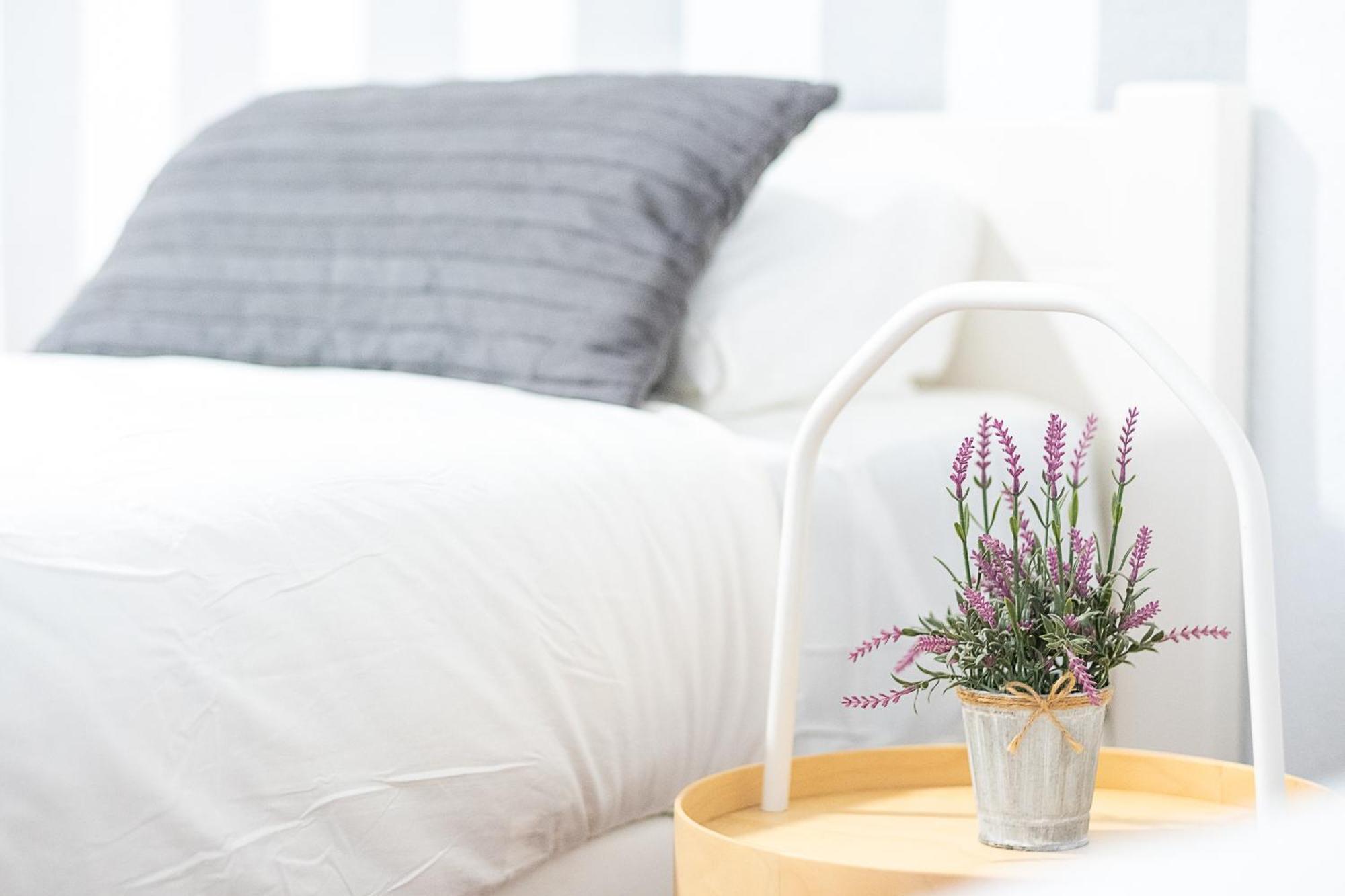 Apartamento New Folch Sevilla A المظهر الخارجي الصورة
